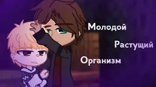 Малыш Кип. {Г.В}