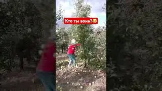 Кто ты воин? Лайфхак как вытрясти яблоню 