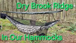 Dry Brook Ridge Wild Forest. Catskill Mountains,  NY.