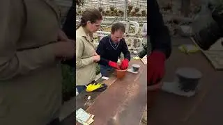 Счастье - это когда у тебя есть утро...