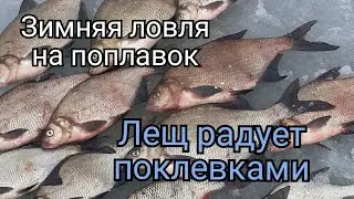 Рыбалка в Беларуси 2021.Зимняя рыбалка на поплавок. Лещи радуют поклевками - это просто кайф!!