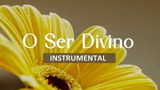 Sr. Reis - O Ser Divino (Instrumental)
