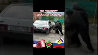 Как перевозят животных в США и России (прикол) 