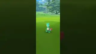 Shiny Treecko! Pokémon Go!