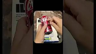 How a Simple Coke Can Captured Real Photos Before Cameras Existed