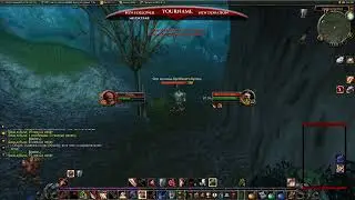 WoW classic ● Warrior  ● Снова за 14 рангом