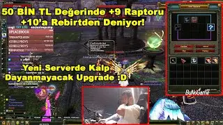 Ento - Yeni Serverde Reb +11 Raptoru +21'e Doğru Gittiği Yere Kadar Upgrade Deniyor! | Knight Online