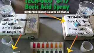 TECH-FLO Bloom Blend at World Ag Expo