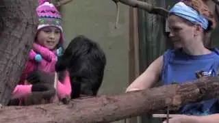 Roger Williams Park Zoo - Animal Enrichment Series #1