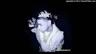 (free for profit) playboi carti + ken carson + destroy lonely type beat - "anarchy"