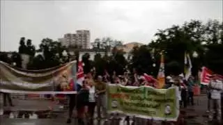 Митинг против добычи никеля г.Воронеж 07.07.13 г.Недоверие правительству РФ.Ч2