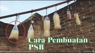 Cara Pembuatan PSB Pasti Jadi, Vitamin Untuk Tanaman