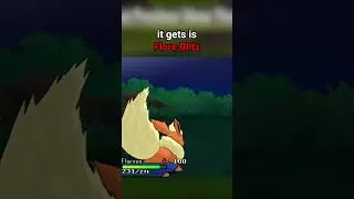 The Flareon Tragedy 