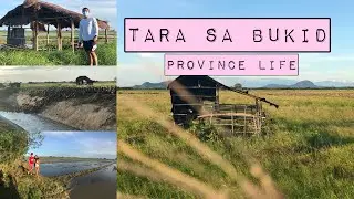 Life in Province - Tara na sa Bukid | Nichole Diy~