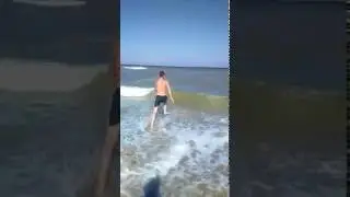 тагил