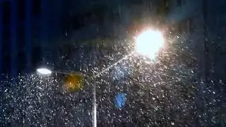 РАІСА БАРАВІКОВА "ЗІМОВЫ ВЕЧАР"