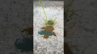 RUINED my new rug😔 #satisfyingvideo #oddlysatisfying #cleaning