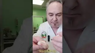 трътки