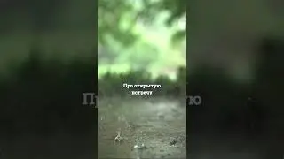Александра Карбовская #смирение #принятиесебя #психология