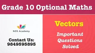 Vectors Important Questions Solved | Grade 10 Optional Mathematics | SEE Exam Preparation | NOS