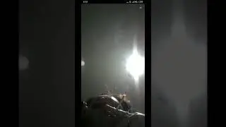 Биголайф