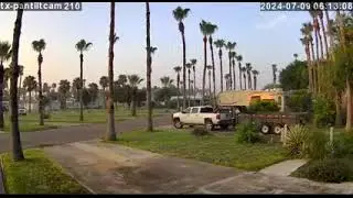 Palm Tree Trimming Sheffield St, Victoria Palms RV resort, Donna, Texas