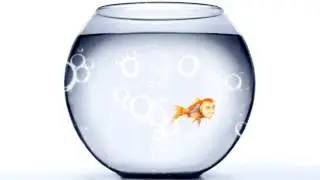 VALD -  I AM A FISH - REMIX