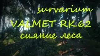Survarium.VALMET RK.62. Режим сияние леса #64