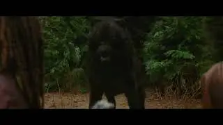 Клип сумерки.