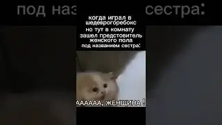 да, я вернулся, но будто всем не похрен 👺 