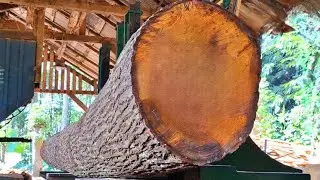the tedious process of sawing old redwood logs in a sawmill 