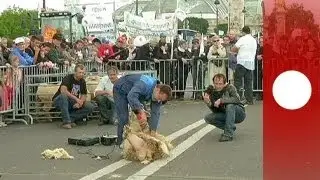 Böyle olur çiftçilerin protestosu