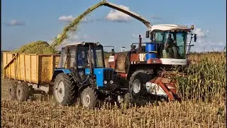 Комбайн "гонит" масло в радиатор - ГРЕЕМСЯ /уборка кукурузы под вопросом.... / за Русь !