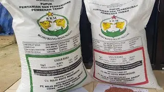 Distributor Pupuk RKM Banyuwangi