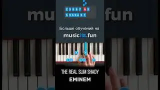 Как играть Eminem - The Real Slim Shady 🎤на пианино🎹 по цифрам🔥