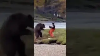 Panda lucu