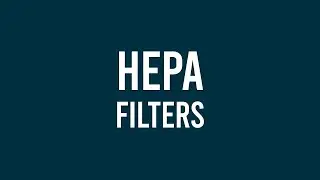 HEPA Filters: Why Do They Matter? | Sylvane