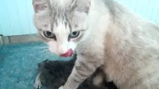 Kiki with kids