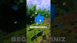 Su Altındaki Saklı Cennet 🤩🌊