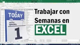 Como Agrupar y Trabajar por Semanas en Excel