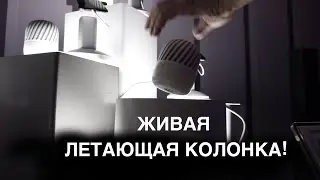 Летающая колонка и телевизор-обои: они уже здесь.