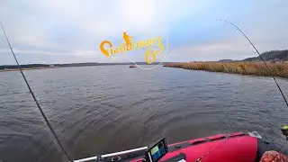Щука и окунь на спиннинг осенью. Рыбалка с лодки