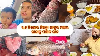 Aji Pakhala saha 3.5kg ra bada bhakura macha bhaja pura udila