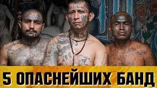 5 САМЫХ ОПАСНЫХ БАНД В МИРЕ