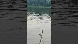 релакс