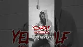 @YelaWolfOfficial #yelawolf #ytshorts #reels #shortvideo #shorts #ytshort #viral #reels #video