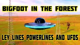 BIGFOOT IN THE FOREST - LEY LINES POWERLINES AND UFOS