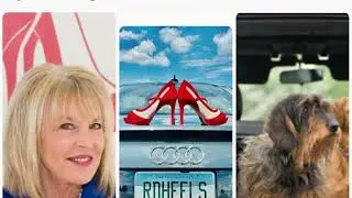 (Trailer) 5 Best Cars For Dogs Owners. With Auto Journalist Cathy Droz