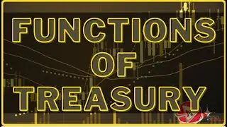 10 Functions of Treasury Explained | Role of Finance Department | Public Finance Now 