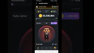 Новый шифр Хамстер комбат 19-20 июня HAMSTER KOMBAT SHIFR 19-20 IYUN